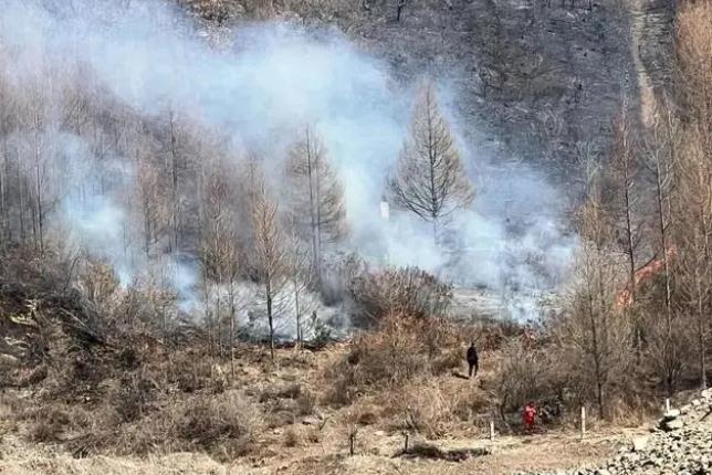 明火已撲滅，初步判斷由祭祀用火引發(fā)！今年已發(fā)生多起